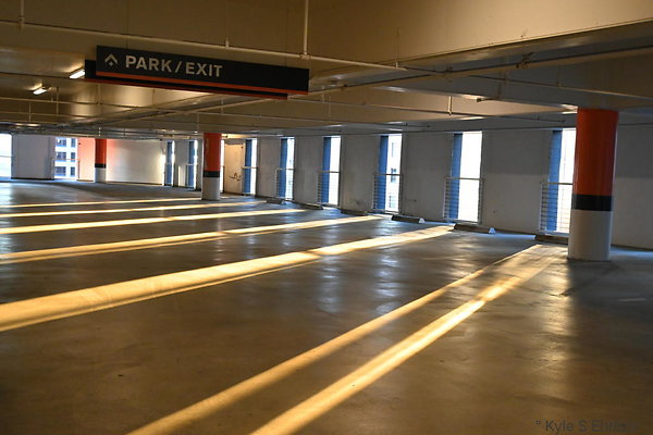 DSC 4003