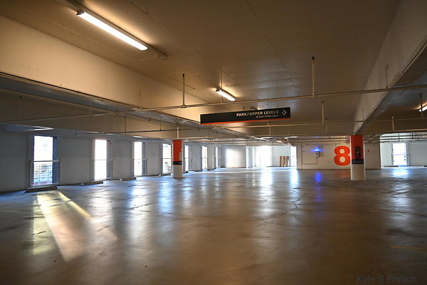DSC 3703