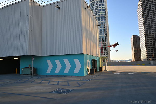 DSC 7025