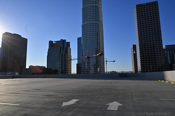 DSC 7005