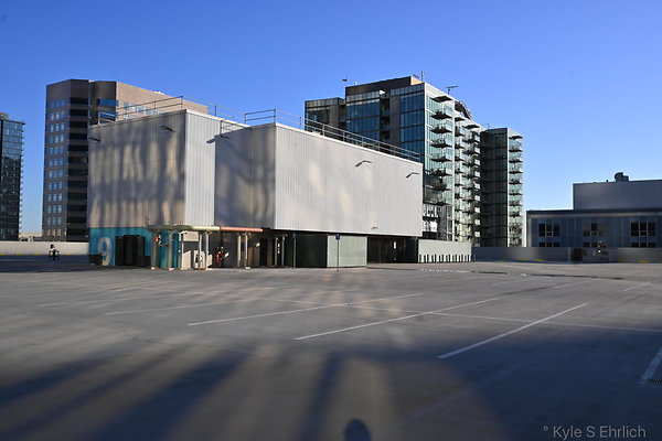 DSC 6993