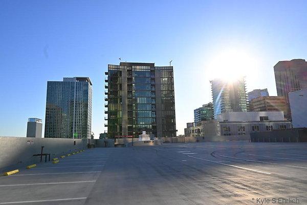 DSC 7009