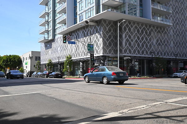DSC 4244