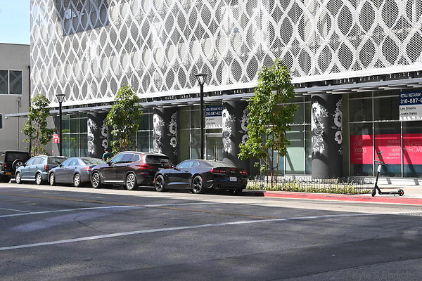 DSC 4278