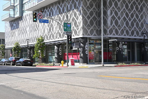 DSC 4242