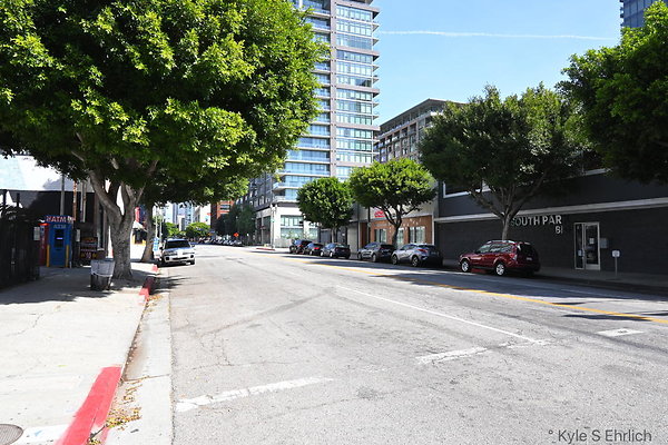 DSC 4294