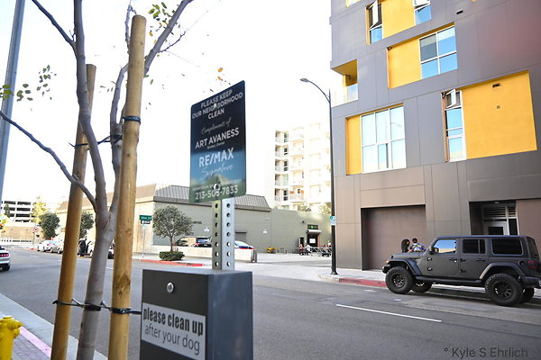 DSC 3559
