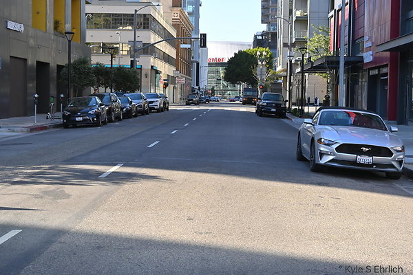 DSC 2955