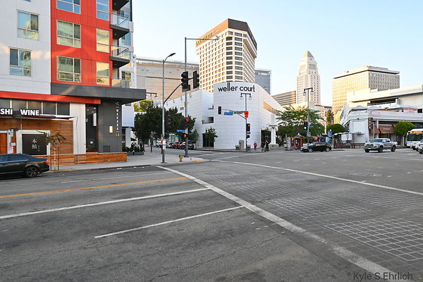 DSC 2073