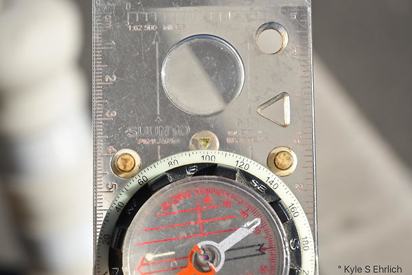 DSC 7394a
