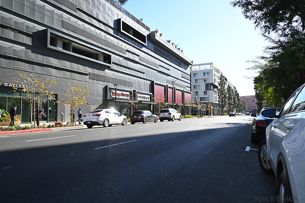 DSC 2734