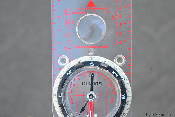 DSC 2733