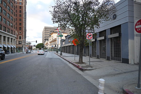 DSC 4885