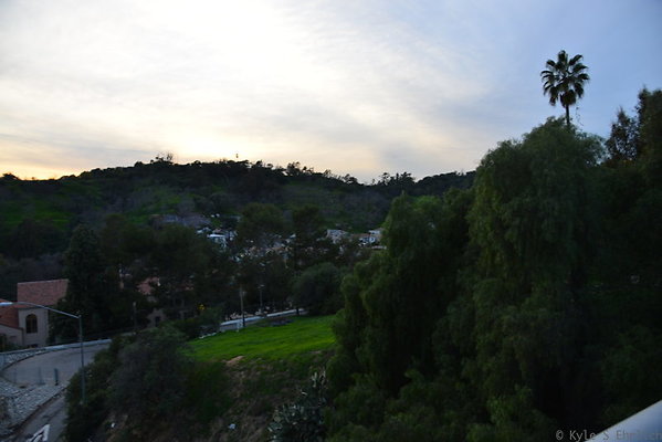 DSC 7028