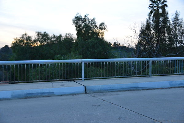 DSC 5430