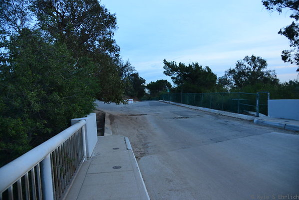 DSC 5438