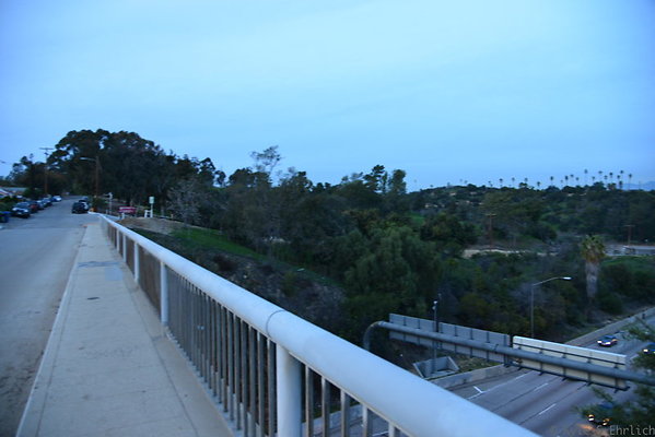 DSC 5446