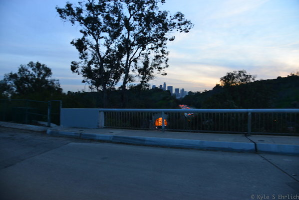 DSC 5442