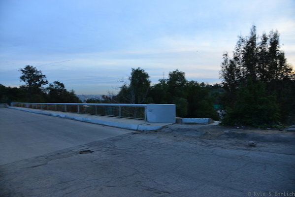 DSC 6042