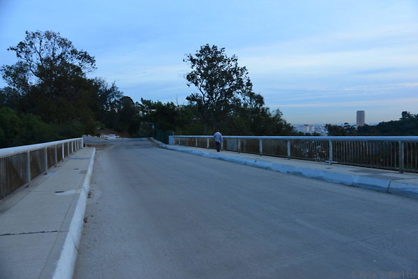 DSC 5428
