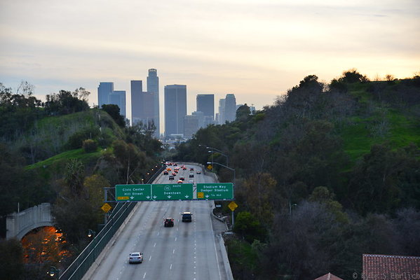 DSC 7025