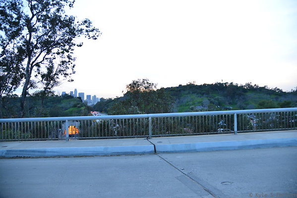 DSC 5444