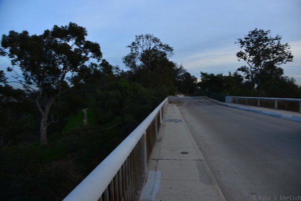 DSC 5392