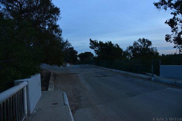DSC 5441
