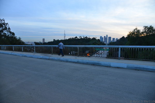 DSC 5425