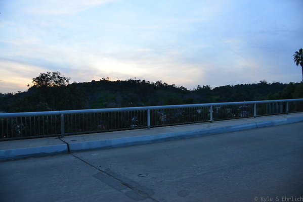 DSC 5443