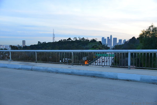DSC 5429