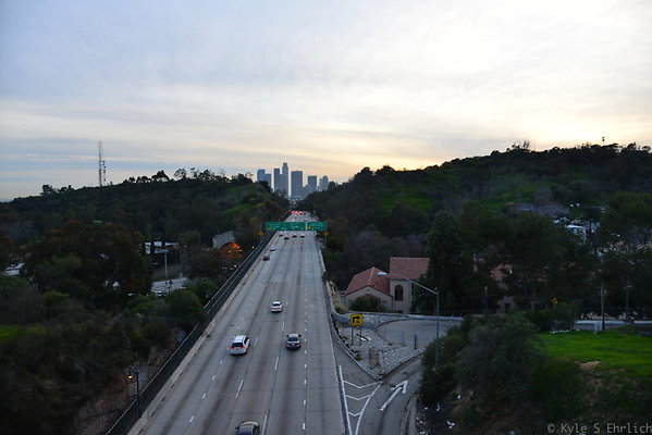 DSC 7029