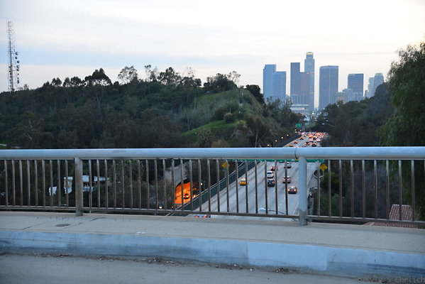 DSC 5461