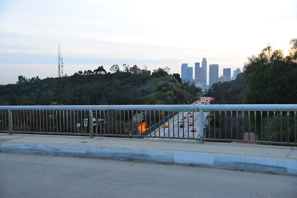 DSC 5460