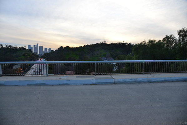 DSC 5394
