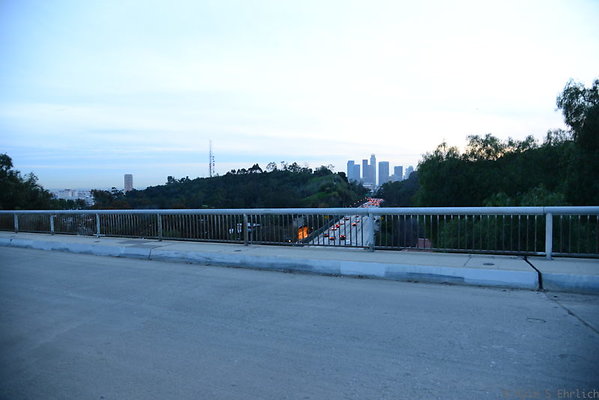 DSC 5466