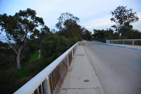 DSC 5386