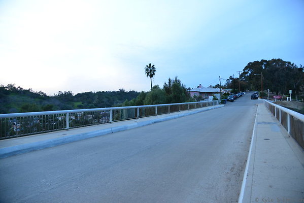 DSC 5445