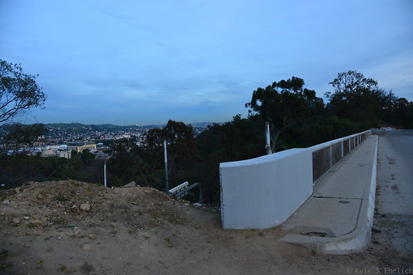DSC 6040