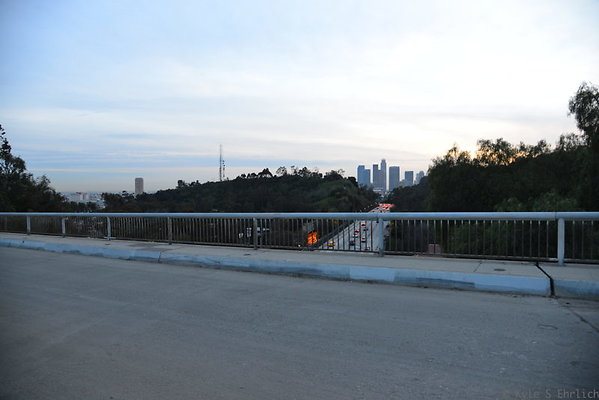 DSC 5459