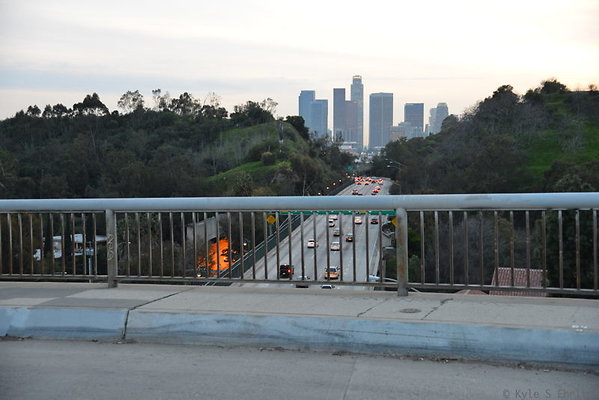 DSC 5455