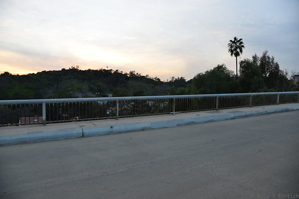 DSC 5452