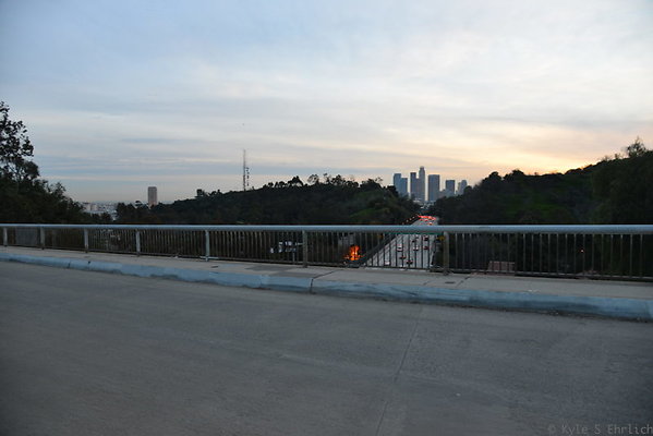 DSC 5453
