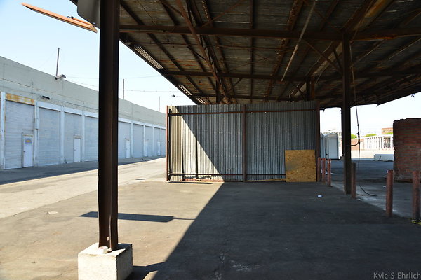 DSC 5401
