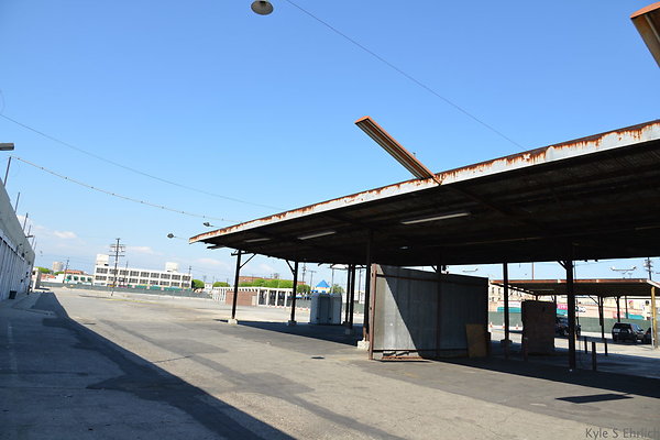 DSC 5412