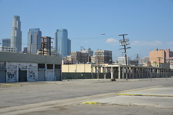 DSC 5335