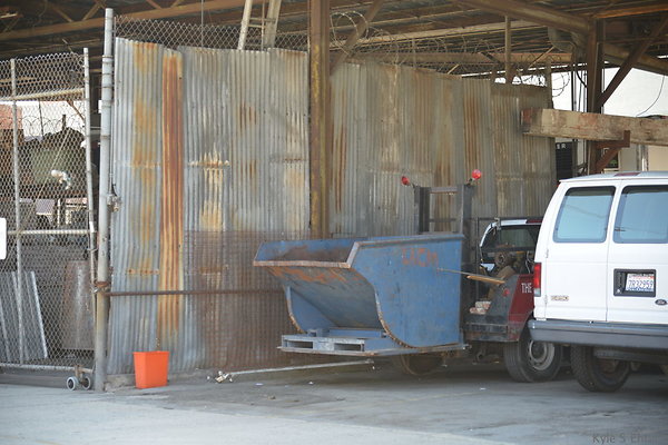 DSC 5384