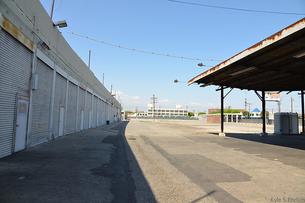 DSC 5419