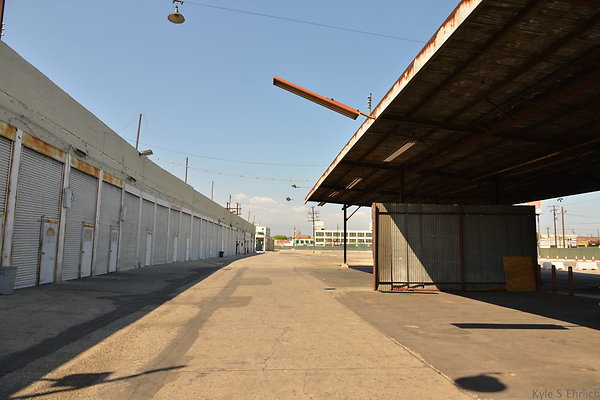 DSC 5410