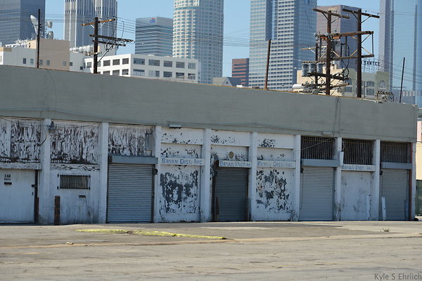 DSC 5343